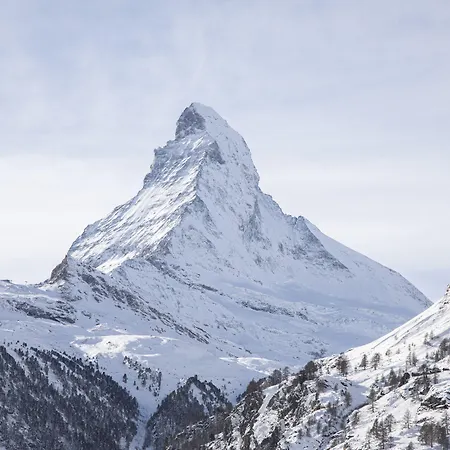 Cervo Mountain 5* Zermatt