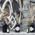 Cervo Mountain فندق زيرمات