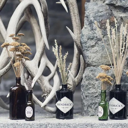 Cervo Mountain 酒店 采尔马特