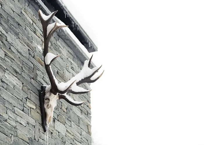 Cervo Mountain Hotel 5*